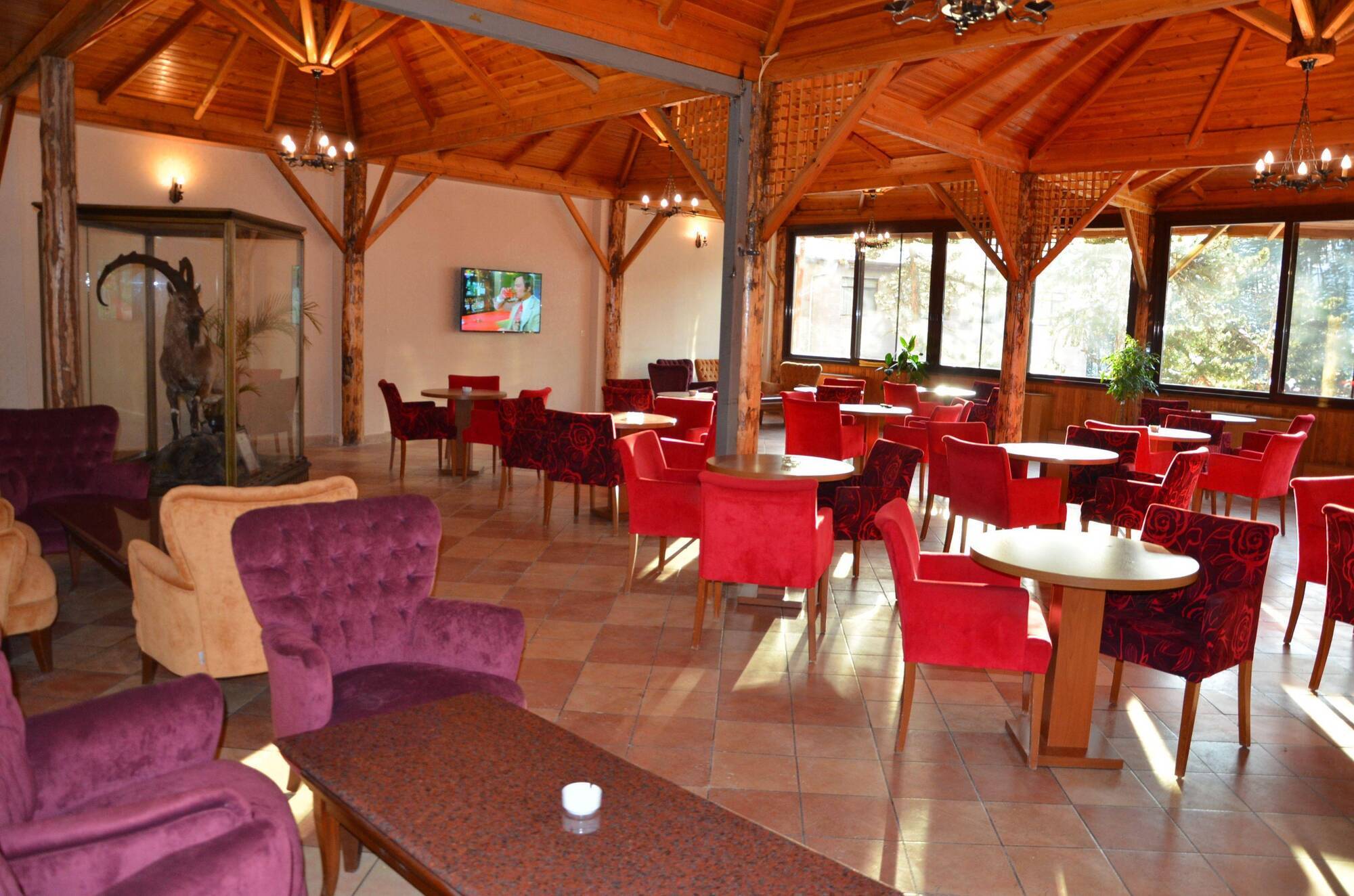 Patalya Thermal Resort Hotel Kizilcahamam Exterior photo